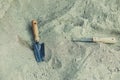 Shovel in the sand.Skeleton and archaeological tools.Digging for fossils.
