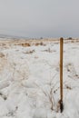 Shovel in snow