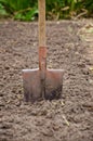 Shovel sticking out of the garden on the farm Royalty Free Stock Photo