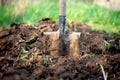 Shovel stuck in the ground on the garden bed. Gardening tool and equipment. Garden work concept. Front view Royalty Free Stock Photo