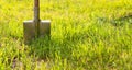 Shovel stuck in the ground. Garden tools on a green lawn. Royalty Free Stock Photo