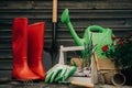 Shovel, watering can, hat, rubber boots, box of flowers, gloves and garden tools Royalty Free Stock Photo