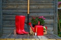 Shovel, watering can, hat, rubber boots, box of flowers, gloves and garden tools Royalty Free Stock Photo