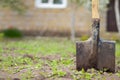 A shovel with a wooden handle stands in the ground.