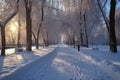 shoveled pathway through a snow-covered park