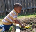 Shoveling Weeds