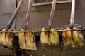 Shovels asphalt