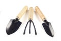 Shovels and rake Royalty Free Stock Photo