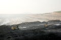 Shovels working in a opencast coal mine Royalty Free Stock Photo