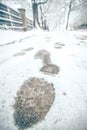 Show footprints in snow on sidewalk along the park Royalty Free Stock Photo