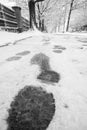 Show footprints in snow on sidewalk along the park Royalty Free Stock Photo