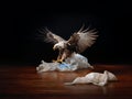 majestic eagle fighting with a plastic bag