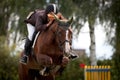 Show jumper rider and horse