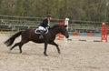 Show Jumping Championship in Prague