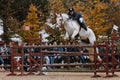 Show Jumping Competition