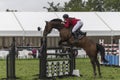 Show Jumping event Edenbridge and Oxted Agricultural Show