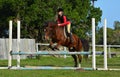 Girl horse back riding Royalty Free Stock Photo