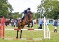 Horse Show Jumping at the Hanbury Countryside Show, England.