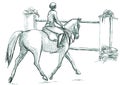 Show Jumping, hand drawn illustration. Line art technique on white