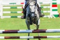 Show Jumping Horse Closeup Head On Royalty Free Stock Photo