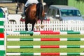 Show Jumping Horse Closeup Rear Photo Royalty Free Stock Photo