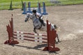 Show jumping horse and rider