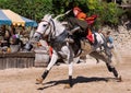 The Show : The Legend of Knights in Provins, France