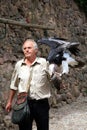 Show of the training of predatory birds. France Royalty Free Stock Photo