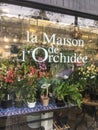 Show window, orchid shop, Paris, France