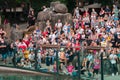 Show in zoo, open and free for all visitors