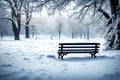 Showcase the beauty of winter solitude with a peaceful park