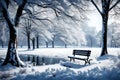 Showcase the beauty of winter solitude with a peaceful park