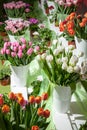 Showcase with fresh bouquets of tulips in vases