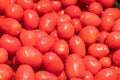 Showcase with tomatoes in a supermarket. A lot of red tomato. The choice of products. vegetables