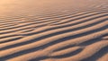 Rippled Sand Dunes in Golden Light ripples desert texture Royalty Free Stock Photo