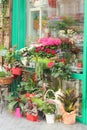 Showcases Flower shop