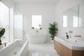 Interior of light bathroom with blank frames