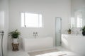 Interior of light bathroom with blank frames