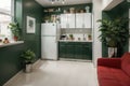 Stylish refrigerator and counters near green wall in kitchen Royalty Free Stock Photo