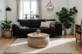 Stylish Scandic living room interior - sofa, armchair, coffee table, plants in pots, lamp, home decorations. Cozy Autumn. Modern c