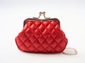 Unveiling the Luxury: A Stylish Red Quilted Jewelry Purse