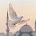 Showcasing a white dove flying over the dome of an ancient mosque, Royalty Free Stock Photo