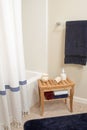 Shower Area with Bamboo Bench, vertical