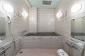 Shower and bathtub in old Japanese bath Royalty Free Stock Photo