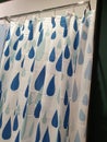 the shower curtain