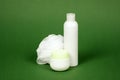 Shower gel bath sponge green background Royalty Free Stock Photo