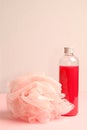 Shower gel and bath sponge Royalty Free Stock Photo