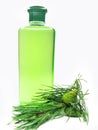 Shower gel bottle with fir extract Royalty Free Stock Photo