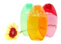 Shower gels and gerbera, isolated. Royalty Free Stock Photo