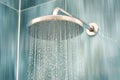 Shower head Royalty Free Stock Photo